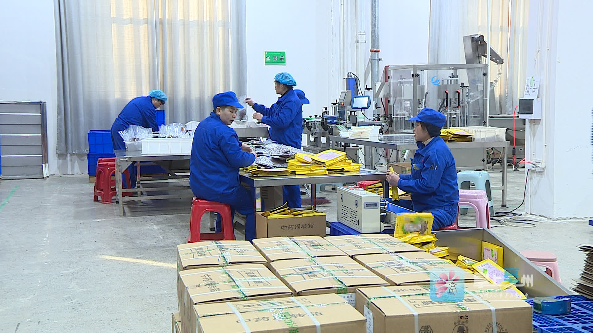 亳州市打造中药材趁鲜切制“新标杆”