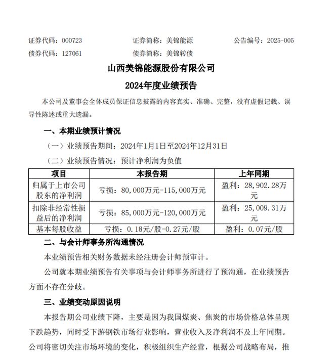 由盈转亏美锦能源2024年业绩大跌控股股东“输血”护航